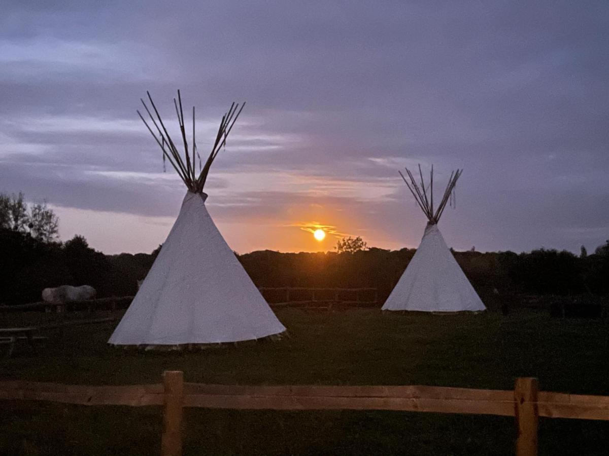 Terra-Tipike, Tipi A La Ferme Entre Terre Et Mer Trébry Esterno foto