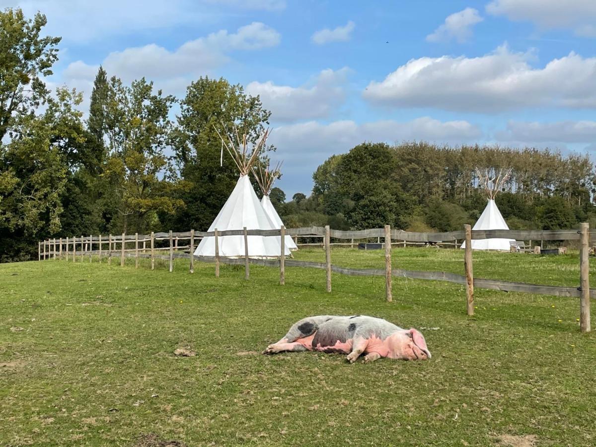 Terra-Tipike, Tipi A La Ferme Entre Terre Et Mer Trébry Esterno foto